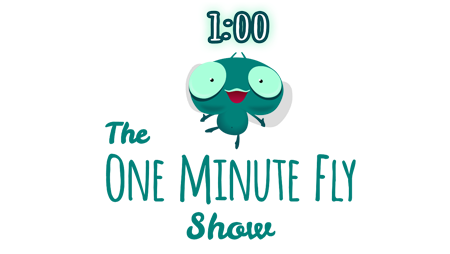 One Minute Fly